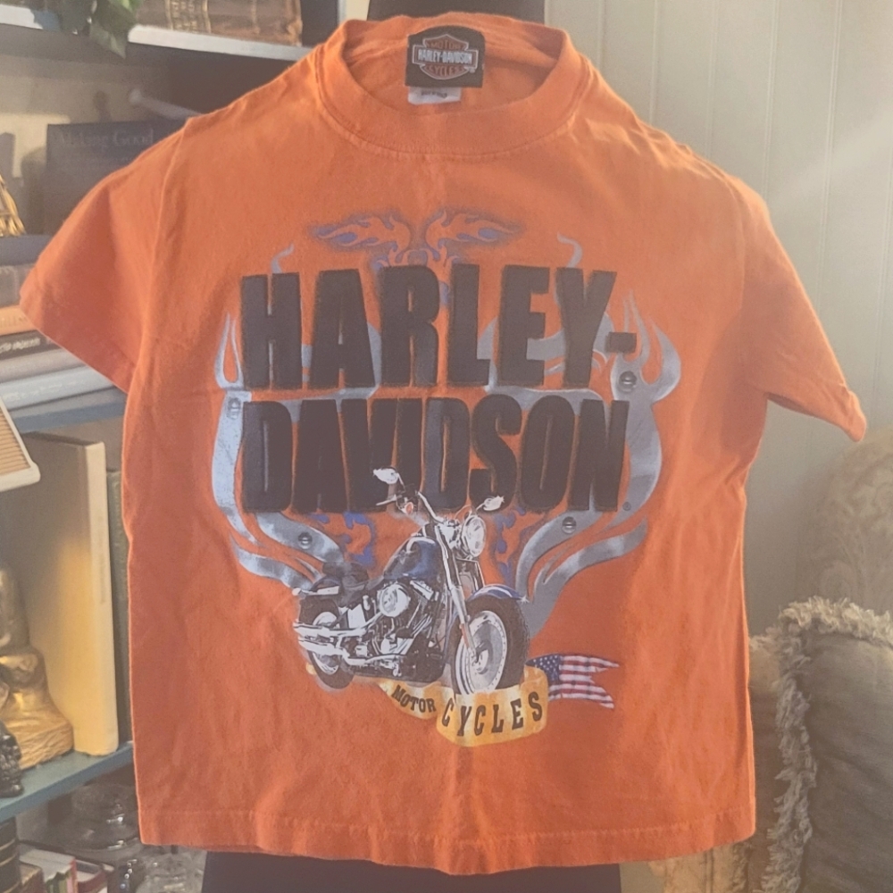 Harley Davidson Orange Kid's Graphic Tee